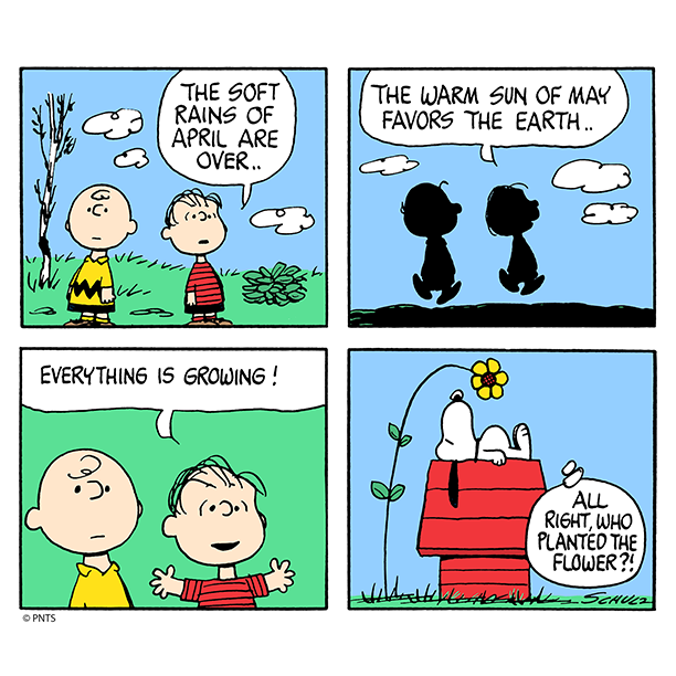 PEANUTS on Twitter: 