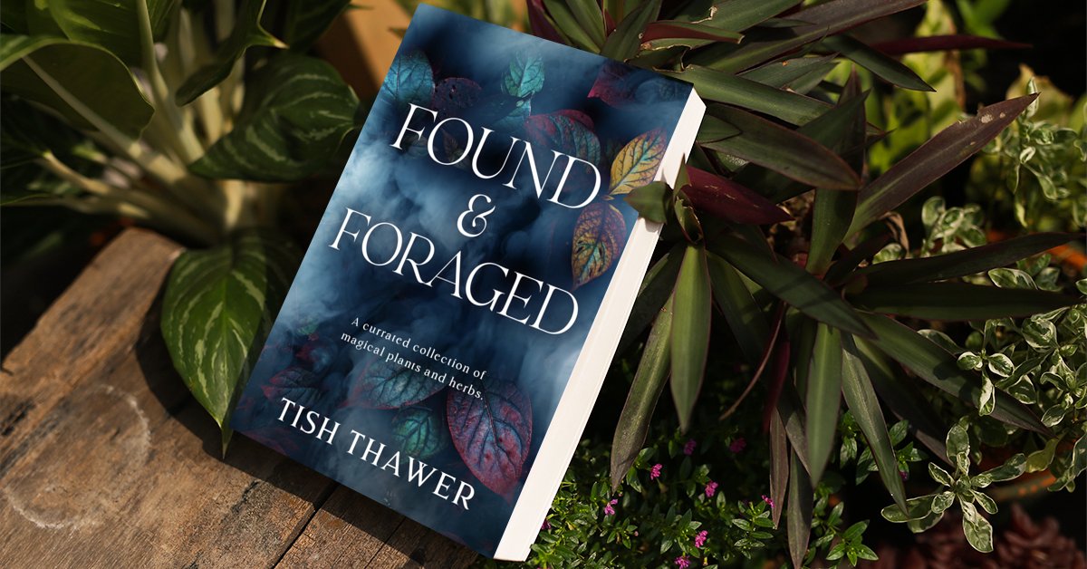 TishThawer's tweet photo. In coordination with WEAVER'S release, I've published a non-fiction reference guide which includes a variety of the plants and herbs Milly uses throughout the main book. 🌿📖🌙💙 (This is a full-color, mini-booklet, great for backpacking and taking notes. https://t.co/40ONyaFZFK https://t.co/s9nVnL2Uyy