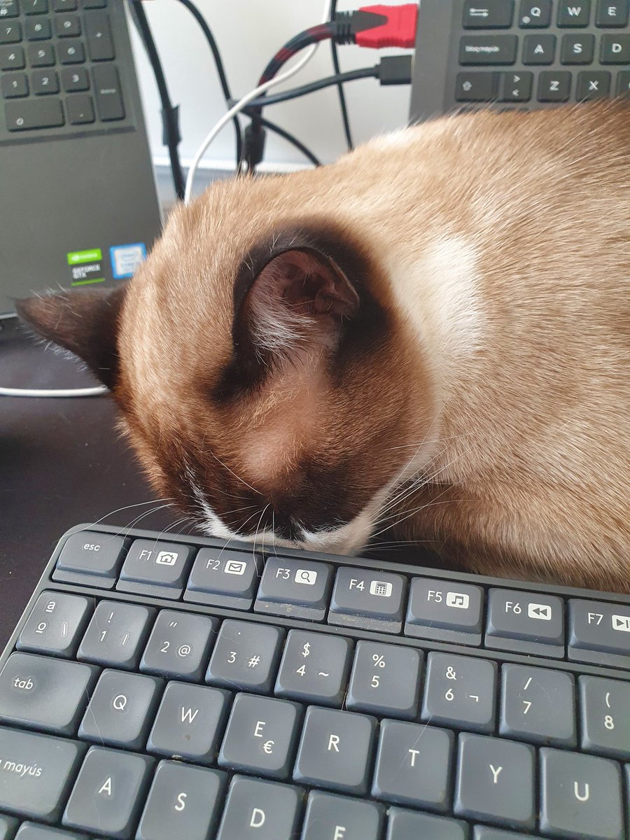 core_eqdqemsd's tweet photo. @ferosoriano Cuando ya no caben se pasan al escritorio ntp (el antes y después https://t.co/BiY82NG2ni