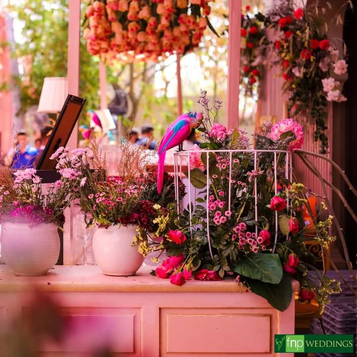 FNP_Weddings's tweet photo. Mehendi 💕
This pinktastic mehendi decor to brighten up your feeds today! Thank us later 😉

#weddingdecor #weddings #wedding #fnpweddingsandevents #fnpweddings #decor #decoration #weddingphotography #rajasthan #jaipur #jaipurwedding #rajasthanwedding #mehendi #mehendidesign https://t.co/mwl8bhvqGu