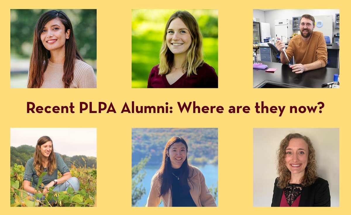 What are recent Plant Path alumni up to? Everything from teaching, research, and technology to science communications and further education. Hear from a few recent alumni: plpa.cfans.umn.edu/news/recent-al… @cfansalumni