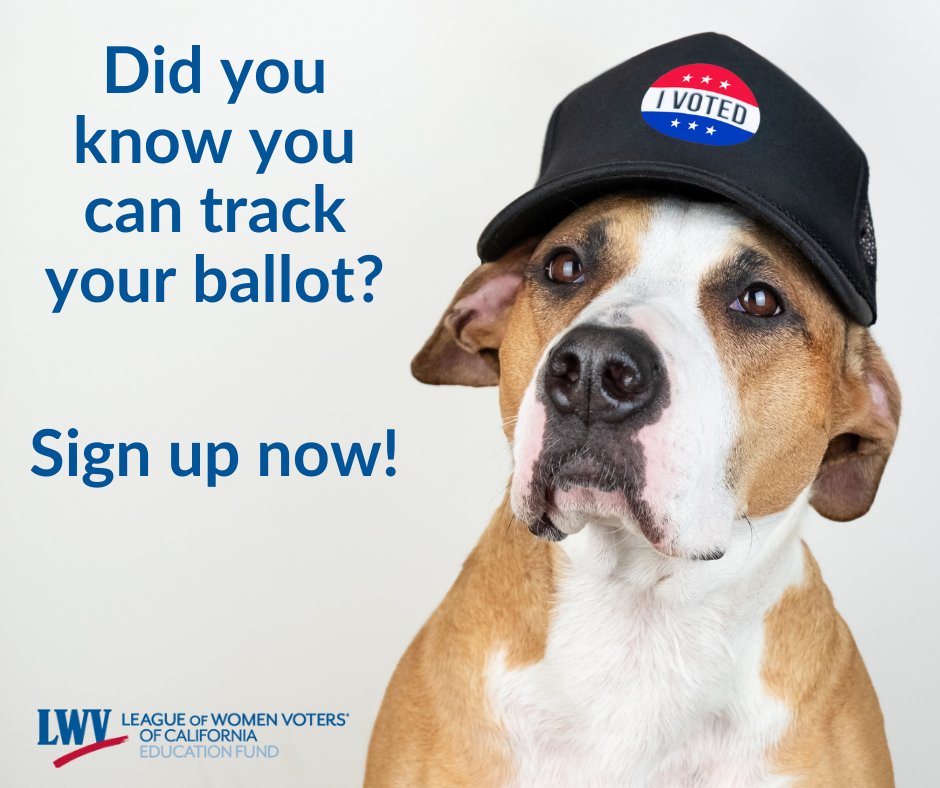 LWVC Education Fund tweet media