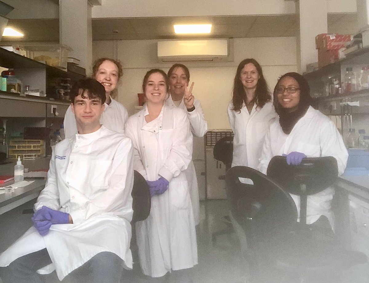 A/Prof Lisa Hill (@neuroscience_dr) on Twitter photo Had a fantastic day welcoming our talented <a href="/unibham_SoBMS/">UoB Department of Biomedical Sciences</a> MSci students,@JessHubbard5, <a href="/Danielle_Brehm/">Danielle Brehm</a> and Sean McGee into the lab to start their summer placements with us. They will be helping to understand and develop therapies to treat inflammation and fibrosis within the CNS. Had a fantastic day welcoming our talented <a href="/unibham_SoBMS/">UoB Department of Biomedical Sciences</a> MSci students,@JessHubbard5, <a href="/Danielle_Brehm/">Danielle Brehm</a> and Sean McGee into the lab to start their summer placements with us. They will be helping to understand and develop therapies to treat inflammation and fibrosis within the CNS.