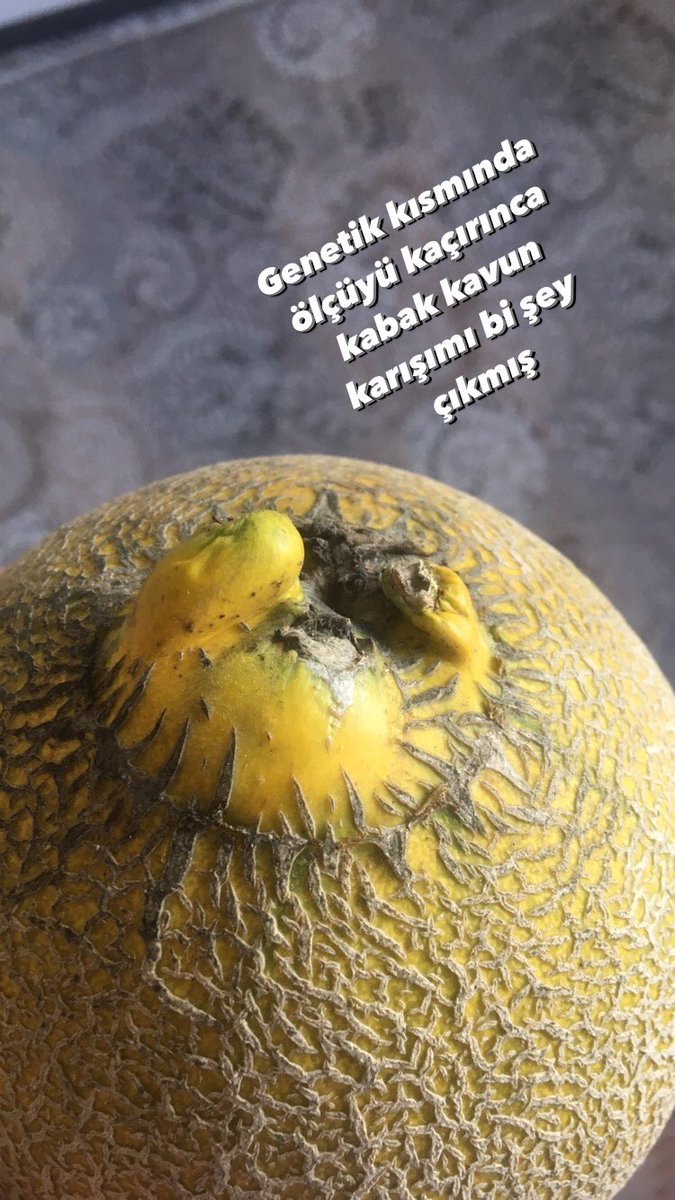 NaClO (@xdiablo3xsimsek) on Twitter photo 