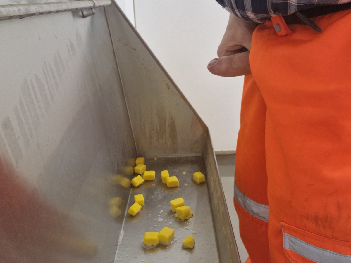 Playtime at the trough, why is there never anyone around when you are feeling horny.