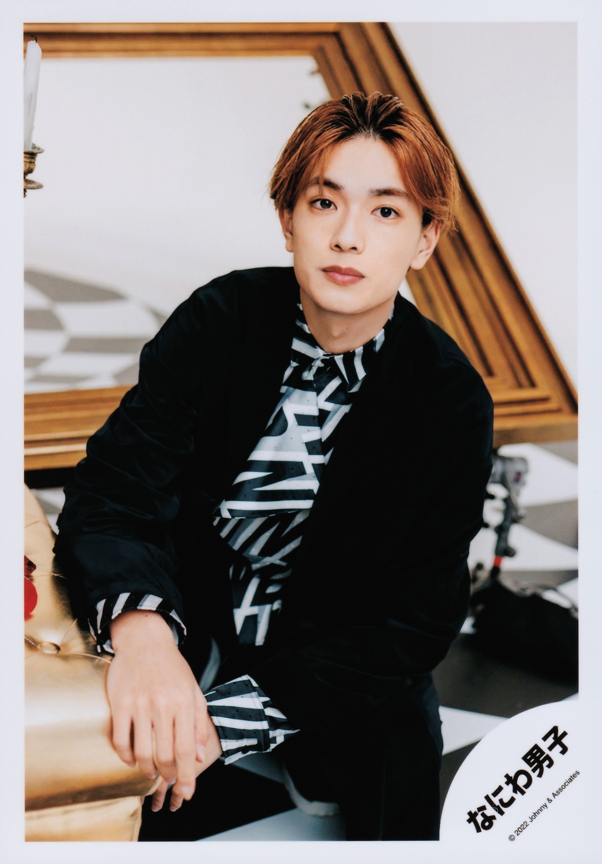 아쿄🐶🐨🐶🐱 on X: 