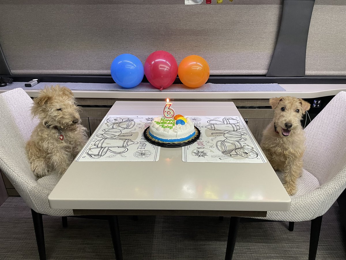 LucyRubyLakies's tweet photo. It’s Ruby’s 6th Birthday!
Happy birthday to Ruby!
#lakelandterrier @Petco @PetSmart @Chewy @ProPlan #birthdaygirl @akcdoglovers https://t.co/ZPPkK1bNsa
