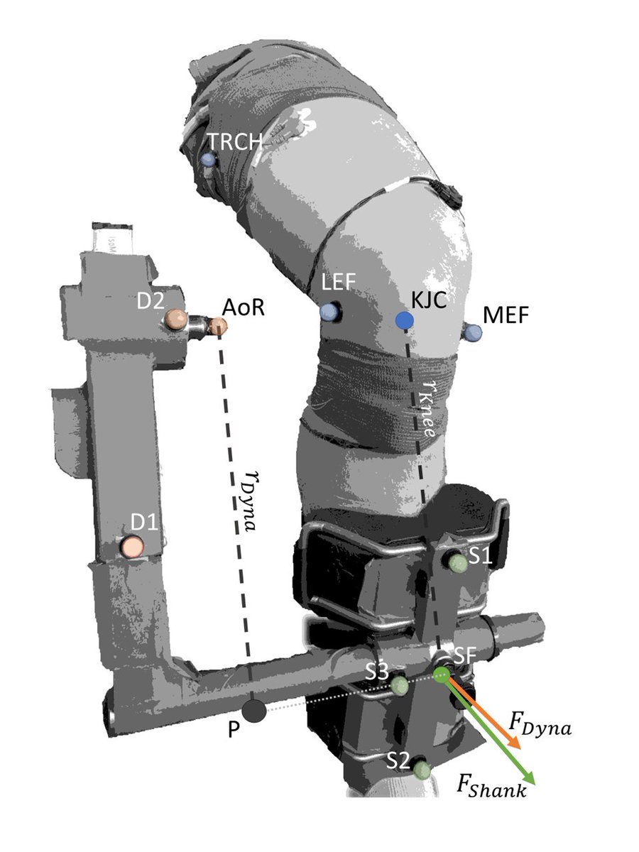 Daniel Hahn (@neuromechahnics) on Twitter photo Final PhD study of <a href="/TheBakanakka/">Patrick Bakenecker</a> published in <a href="/elife/">eLife - the journal</a>. Contrary to common beliefs, residual force enhancement is affected more by quadriceps muscle length than stretch amplitude. Also, tendon load estimates from shear-wave tensiometry might be inaccurate. doi.org/10.7554/eLife.… Final PhD study of <a href="/TheBakanakka/">Patrick Bakenecker</a> published in <a href="/elife/">eLife - the journal</a>. Contrary to common beliefs, residual force enhancement is affected more by quadriceps muscle length than stretch amplitude. Also, tendon load estimates from shear-wave tensiometry might be inaccurate. doi.org/10.7554/eLife.…