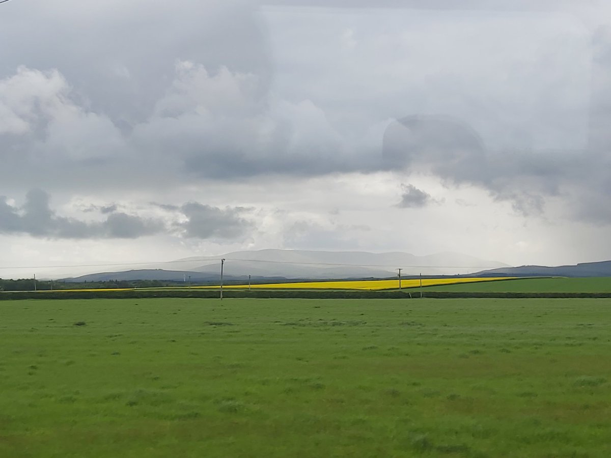 Mountains! Actual mountains (in the distance, admittedly). Enjoying the journey to Aberdeen for our @CYPTreescapes @UK_Treescapes project retreat this week. The journey is providing great views and much-needed time to write. And this week much-needed time to focus on research!