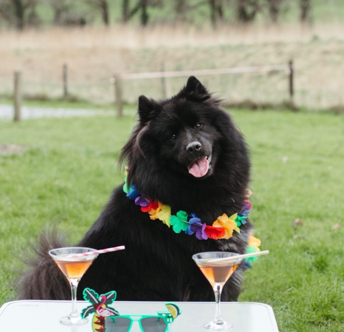 Who is looking forward to summer? Bow and Bear are! 

#Cornwall

#Summervibes