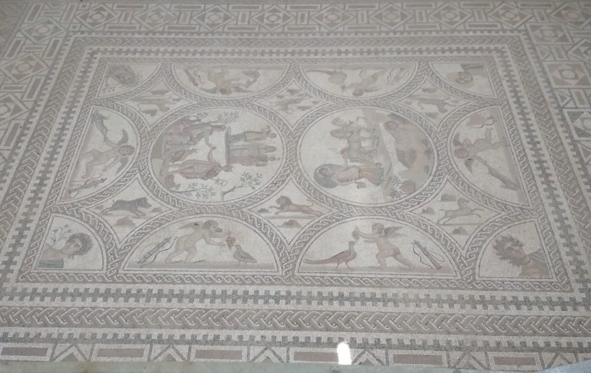 El mosaico de los amores, uno de los ejemplos de arte Romano en la provincia. ¿Cuántas joyas seguirán ocultas en los rincones de #Jaén #RDJ? <a href="/Cultura_Linares/">Cultura Linares</a> <a href="/aytolinares/">Ayuntamiento de Linares</a> <a href="/TurismoLinares/">Turismo Linares</a> <a href="/fiestascastulo/">Fiestas de Cástulo</a> <a href="/jaenturismo/">Jaén ParaísoInterior</a> @viajespasado <a href="/viajes_yrutas/">Viajes y Rutas</a> <a href="/rutahistoriafm/">Ruta por la Historia</a> <a href="/viajepatrimonio/">Viaje al Patrimonio</a>