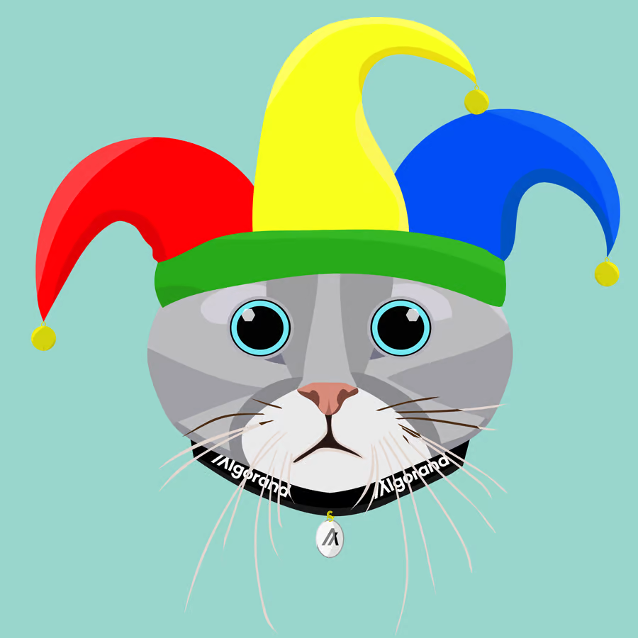 Bison Council tweet media