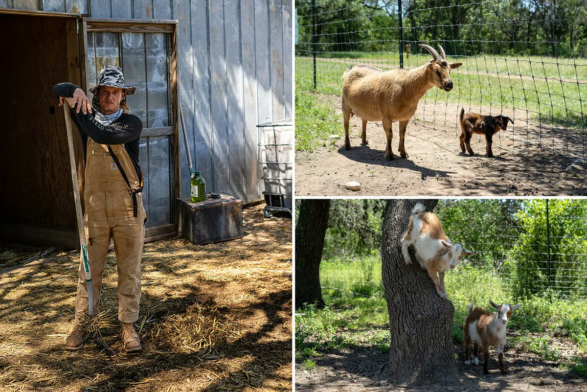 goodbeerhunting's tweet image. “‘Fuck your lawn.’ A couple years ago, Sean ‘Peppy’ Meyer—the farmer at Jester King Brewery, just outside of Austin—hit me with this simple statement.”

Words and Photo by @professorotubes bit.ly/3LMsIiK