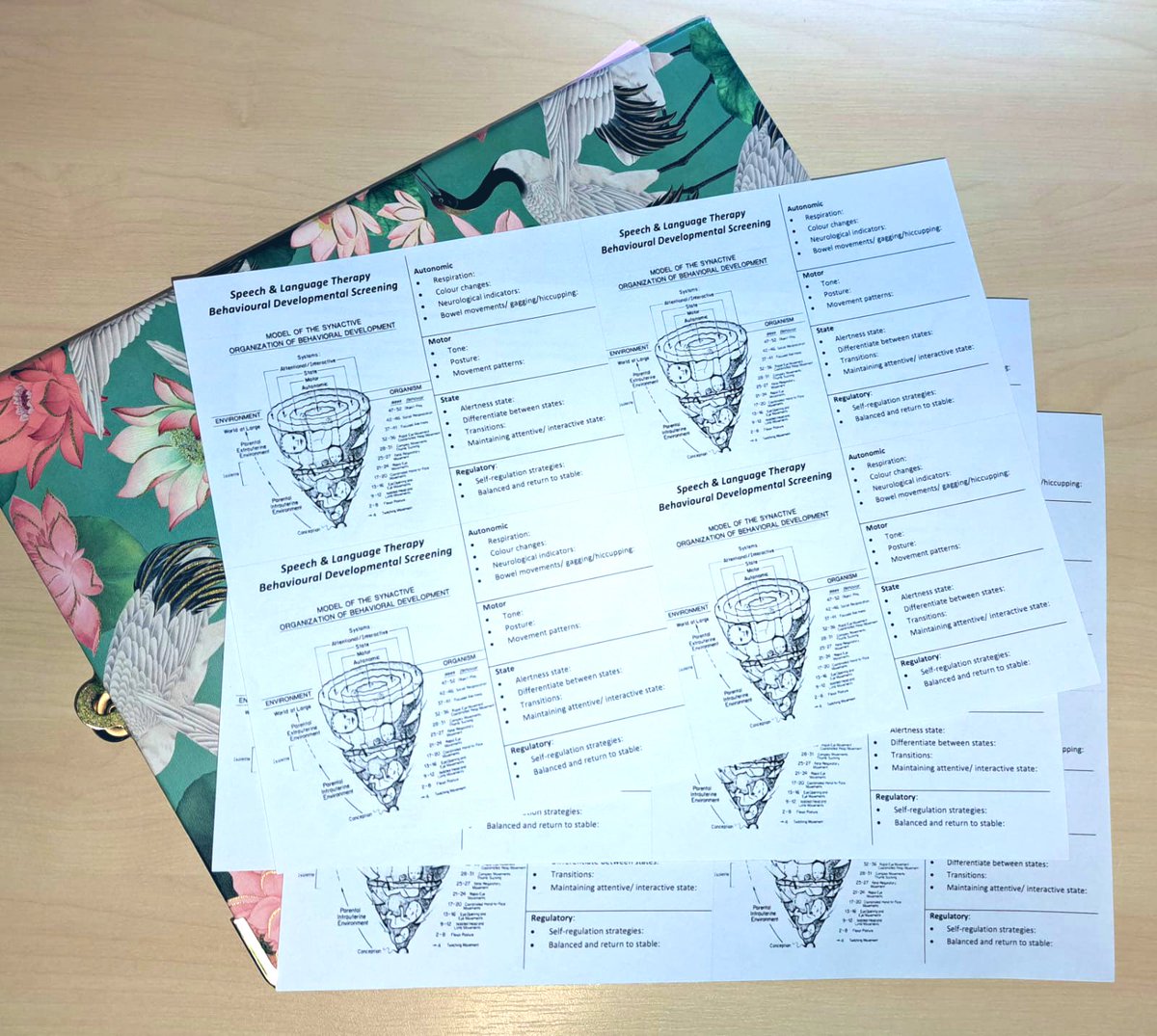 BHRUT_SLT's tweet photo. NICU screening launching this week ๐คฉ we are very excited to trial our new early identification screener with our preemies at 30 weeks๐ผ๐ผ Aiming to implement more Neurodevelopmental Supportive Care in the unit ๐ฉ #PaedsSLT #AHPsintoAction #neonates #NDSC @RCSLT @BHRUT_NHS https://t.co/FOgoqS7Iw3