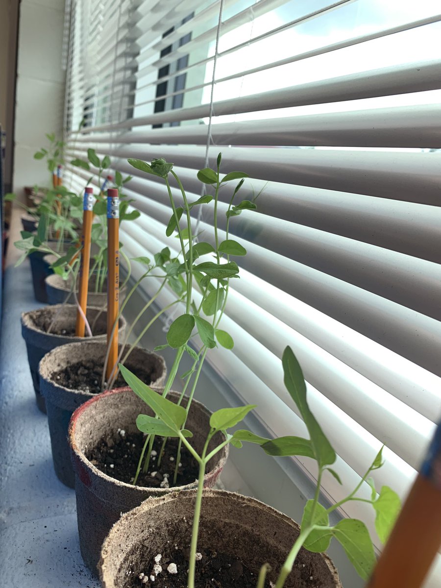 Hortons Creek 2nd tweet media