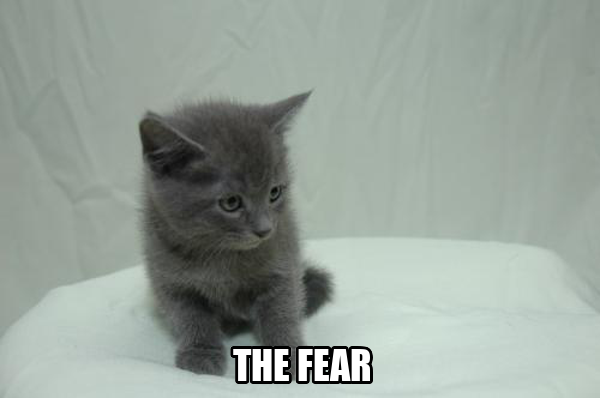 cat_grips's tweet image. 