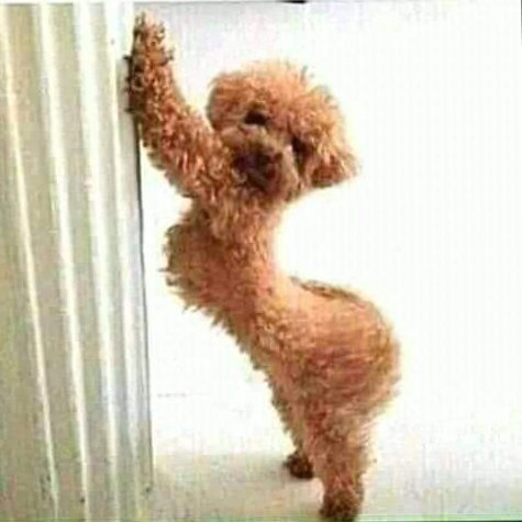 يلا يا شبابز وصلوني 27 k بحبكم كلكم امممح😘😘😘