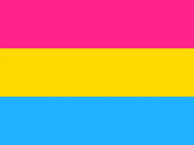 Today is Pansexual and Panromantic Awareness and Visibility Day. Take this day to celebrate something beyond gay or straight sexuality. More information including ways to celebrate this day are in the link below.
buff.ly/3yT1lRf

Image by janeb13 from Pixabay
