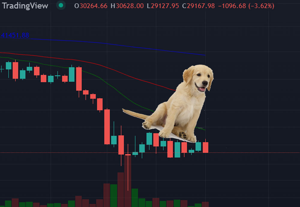 criptomussama's tweet photo. 😜SORTEO!😜 DOS CUENTAS PREMIUM DE TRADING VIEW para 6 meses

Aprenderás en 6 meses a no perder el perro, me oyes amigo?🦴

Para participar:

1-Seguir a @es_tradingview 
2-RT 
3-Unirse a los telegram
https://t.co/v2F3vOy7RL
https://t.co/8jD9rDpDiL

En 1 sem. anuncio 2 ganadores https://t.co/ZZplLnSsqJ