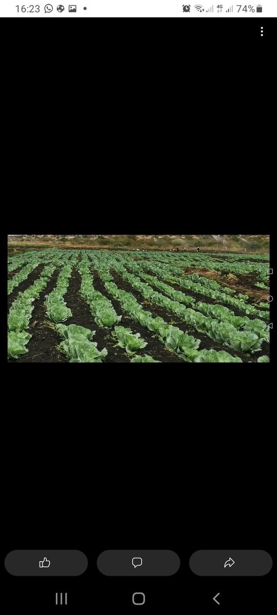 FFreshfoods's tweet photo. Sani bonani maswati I am a part time student, doing a project on electronic commerce I need 100 followers on this page for evaluation  purposes of the project . Please  help a brother out , please follow and share  thank you #TiniTwitter https://t.co/rWMVe4bXnh
