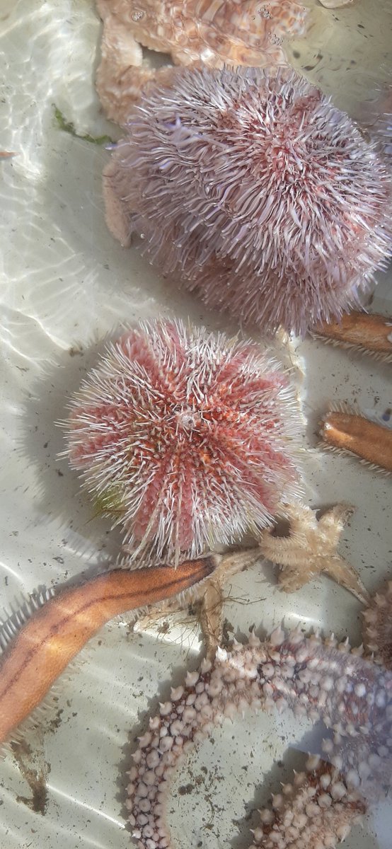 Cath Hide tweet media