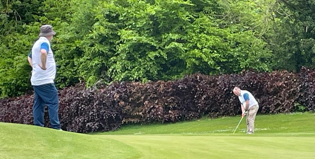 MOATE GOLF CLUB tweet media