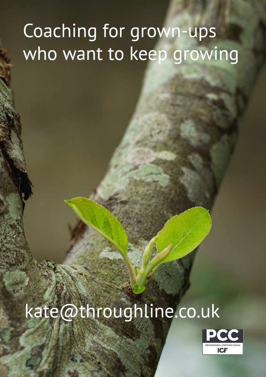 Throughline's tweet photo. Coaching for grown-ups who want to keep growing. With @ICFHQ Professional Certified Coach Kate Hammer: available for online coaching booked by your employer or direct by individuals. 

(Choose a qualified, accredited, insured &amp; supervised coach. Always.) https://t.co/JeL2YMVOid