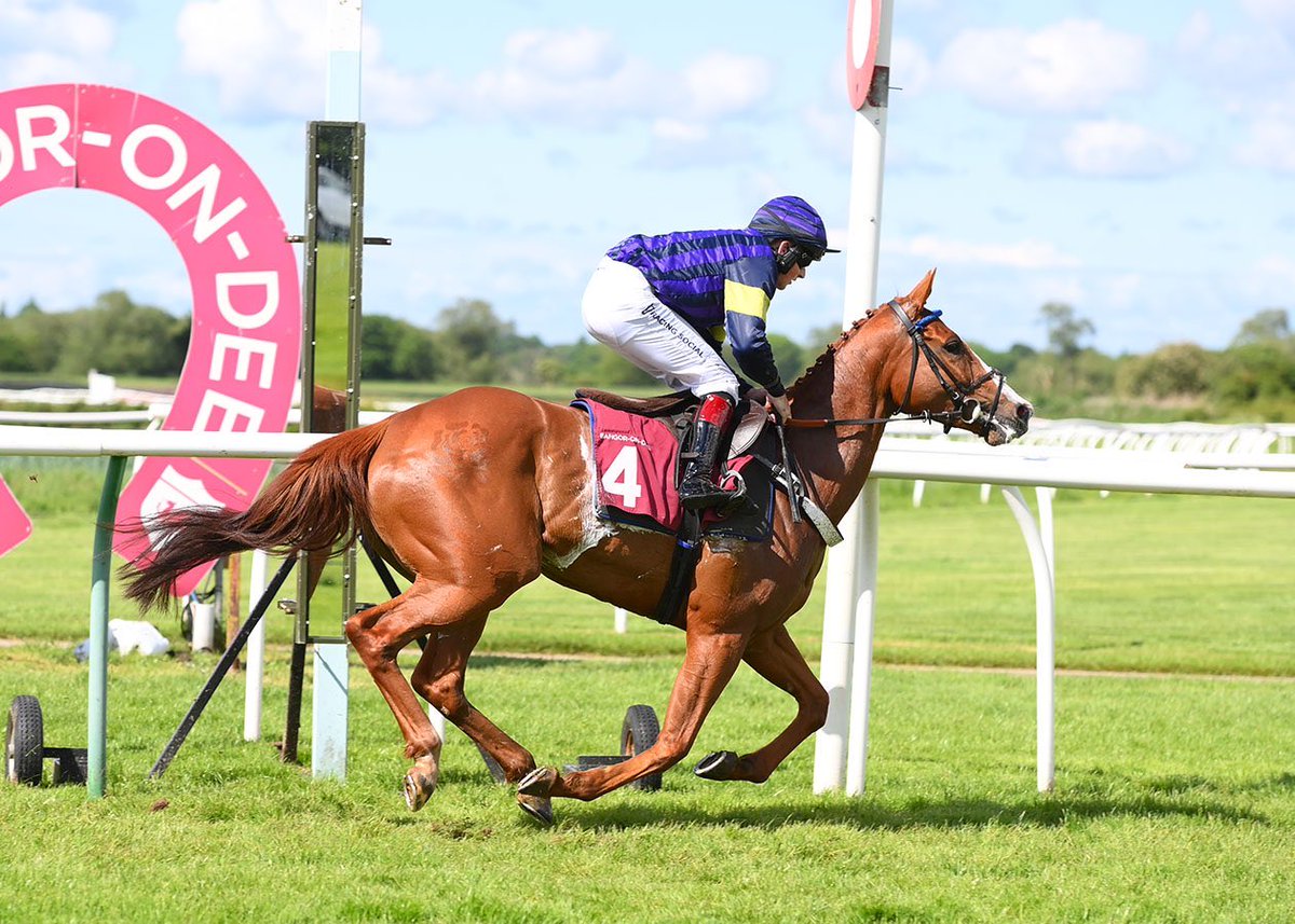 Racing Social (@racingsocialapp) on Twitter photo A superb double on the day for our sponsored jockey <a href="/peterjkavanagh1/">Peter Kavanagh</a> at <a href="/BangorRaces/">bangorraces</a> 👏
Well done Peter!!
#RacingSocial 🔵 A superb double on the day for our sponsored jockey <a href="/peterjkavanagh1/">Peter Kavanagh</a> at <a href="/BangorRaces/">bangorraces</a> 👏
Well done Peter!!
#RacingSocial 🔵