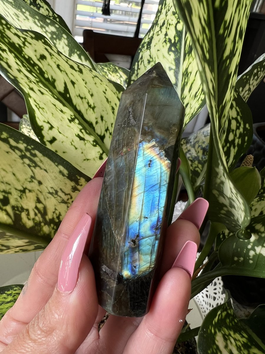 IconicThreadsCo's tweet image. Probably my favorite we carry. 

bit.ly/3sV3Aj8