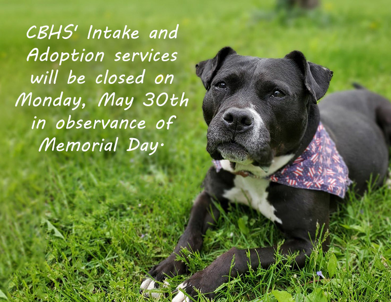 Cedar Bend Humane tweet media