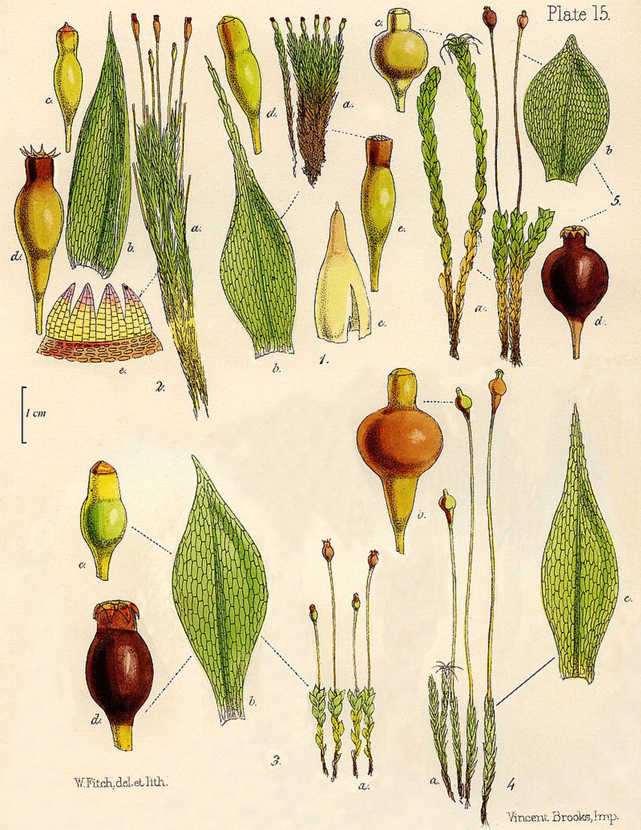 Jerald Pinson, PhD tweet media