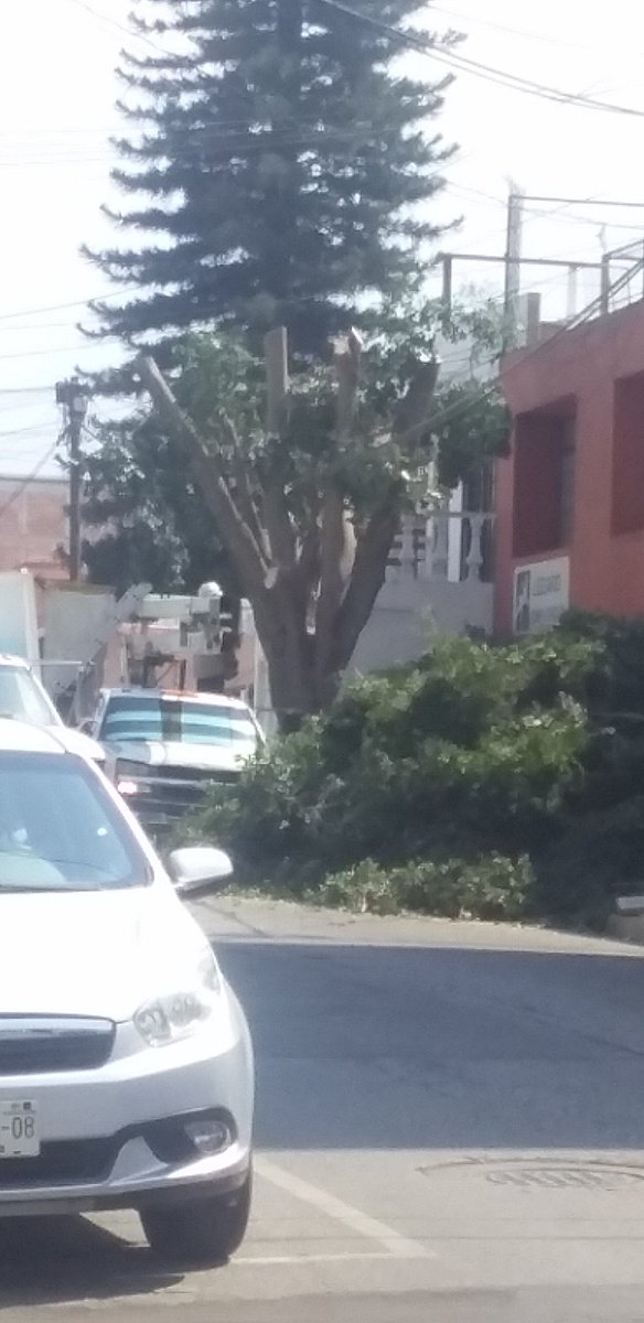enbiciando Oaxaca tweet media