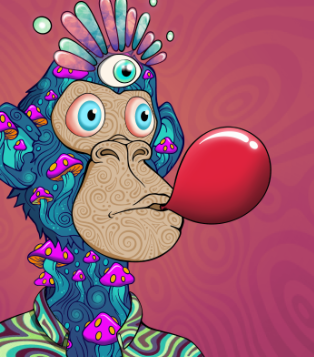 Adams Sandal tweet media