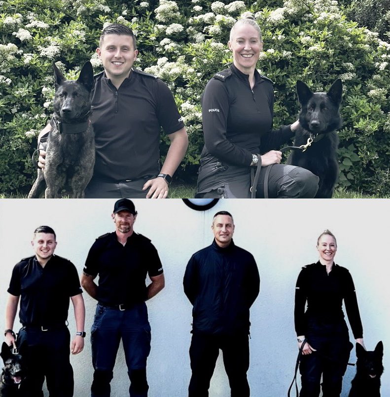 Staffs Dogs & ARV tweet media