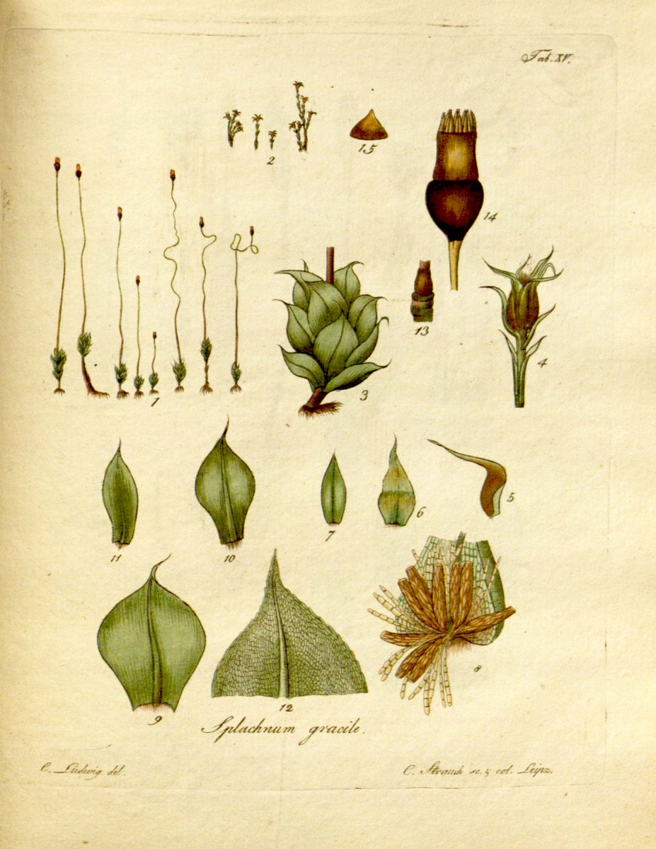 Jerald Pinson, PhD tweet media