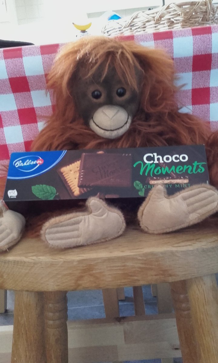 How about a nice #orangutan friendly treat! Help yourselves!