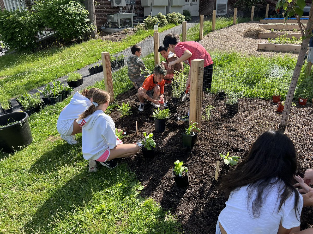 mrvdestefano's tweet photo. Beautiful day for gardening 🧑‍🌾 https://t.co/V2P2OwECyv
