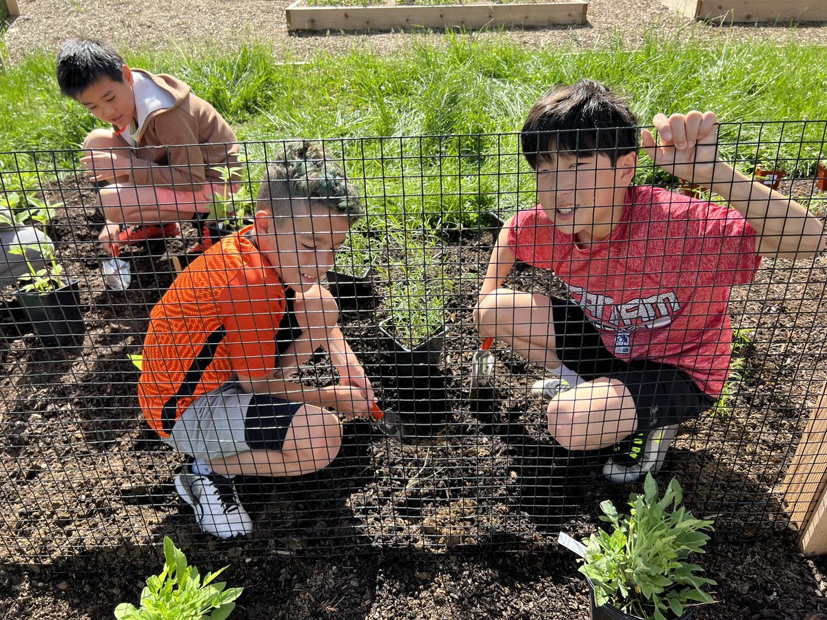mrvdestefano's tweet photo. Beautiful day for gardening 🧑‍🌾 https://t.co/V2P2OwECyv