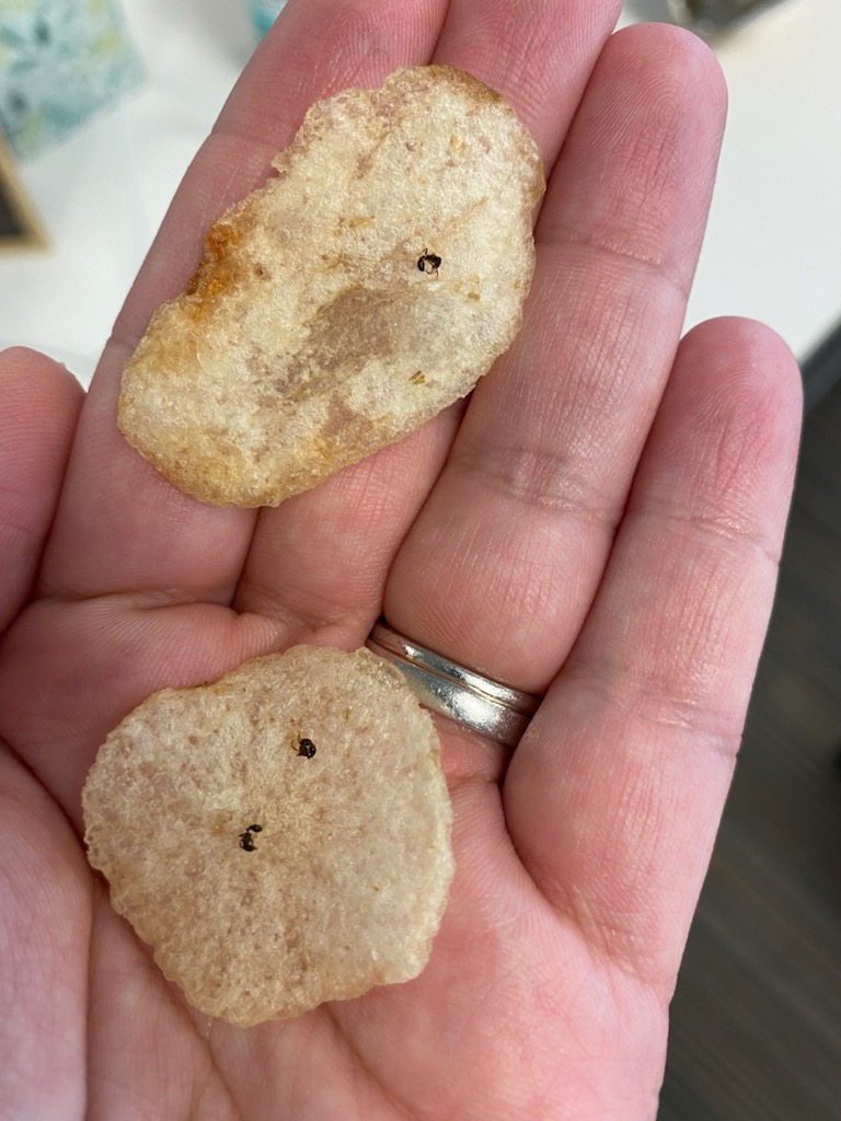 Cristina Sarnelli tweet media