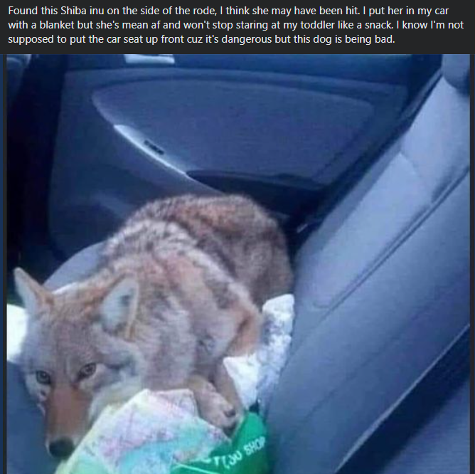 Calamity (@deadlockliz) on Twitter photo 