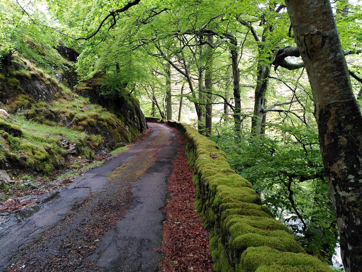 South Lakes Running Guide tweet media