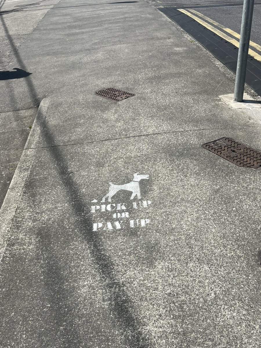 @Twigser @WaterfordDN @WaterfordCounci @thomasphelan Few stencils in the area will serve as a gentle reminder and will hopefully shame them into picking up after them 😡@WaterfordCounci