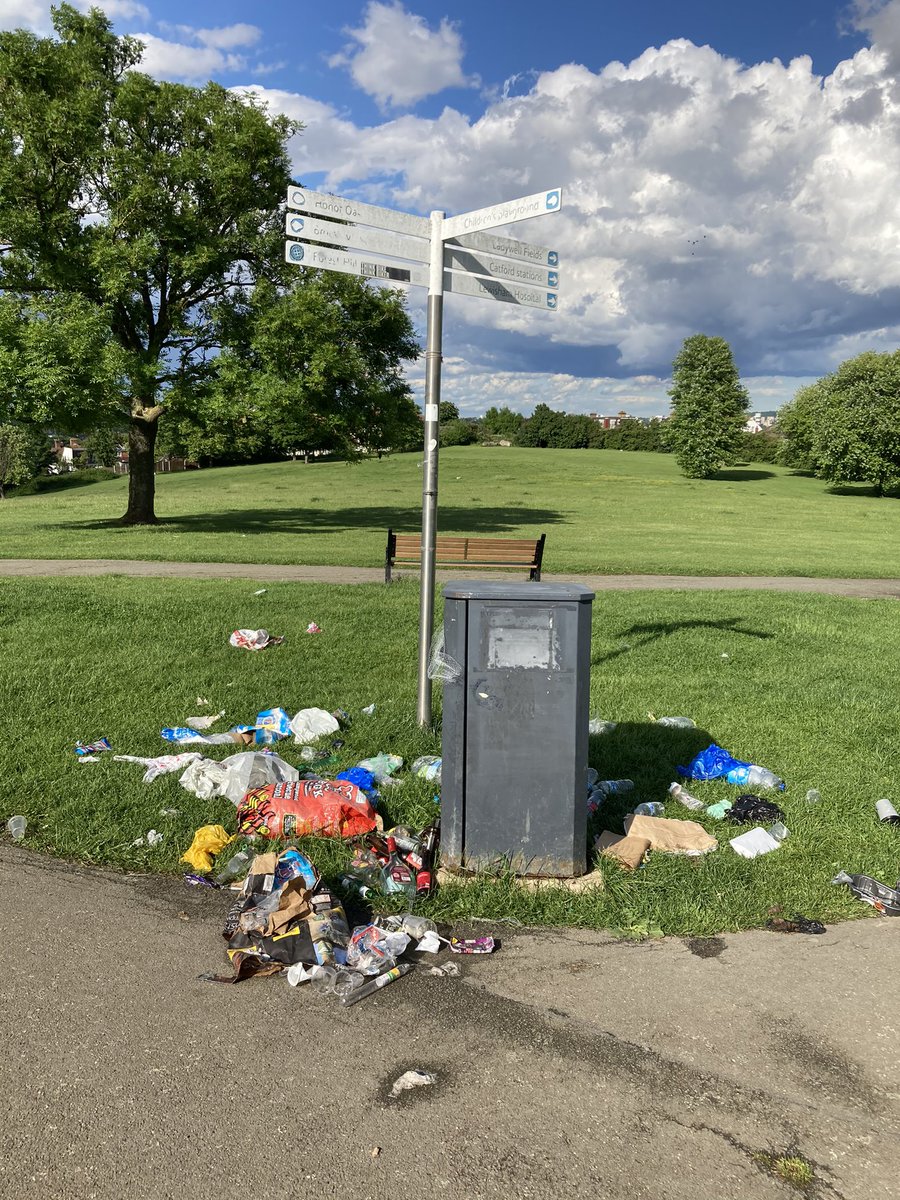 ed_snack's tweet photo. @GlendaleLew foxes have made a bit of a mess on top of Blythe Hill, might need your help. Thank you. https://t.co/5RjRhyQQO4