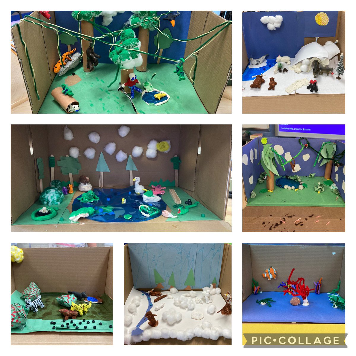 Fearless4th's tweet image. AM biome projects! #4thscience @BearCreekEtown