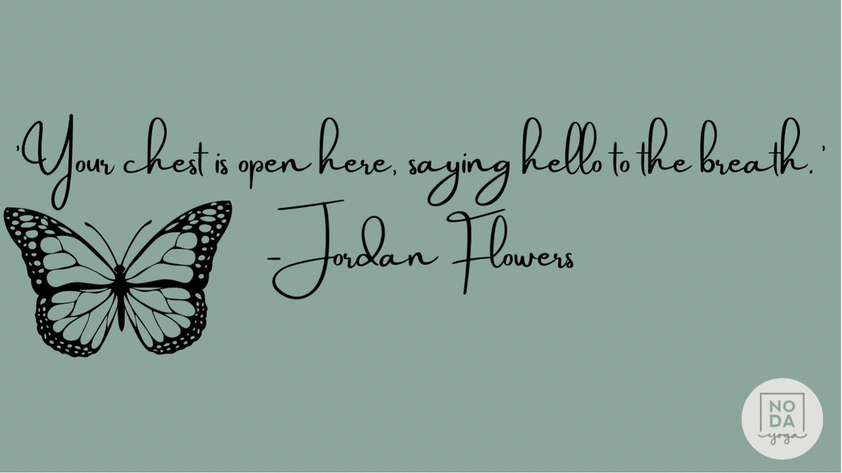 ‘Your chest is open here, saying hello to the breath.’ -Jordan Flowers,a NoDa Yoga instructor, on butterfly pose. #overheard during Monday night Restorative/Meditation Class at 7:30pm. #overheardclt #overheardnc #overheardcharlotte #overheardnodayoga