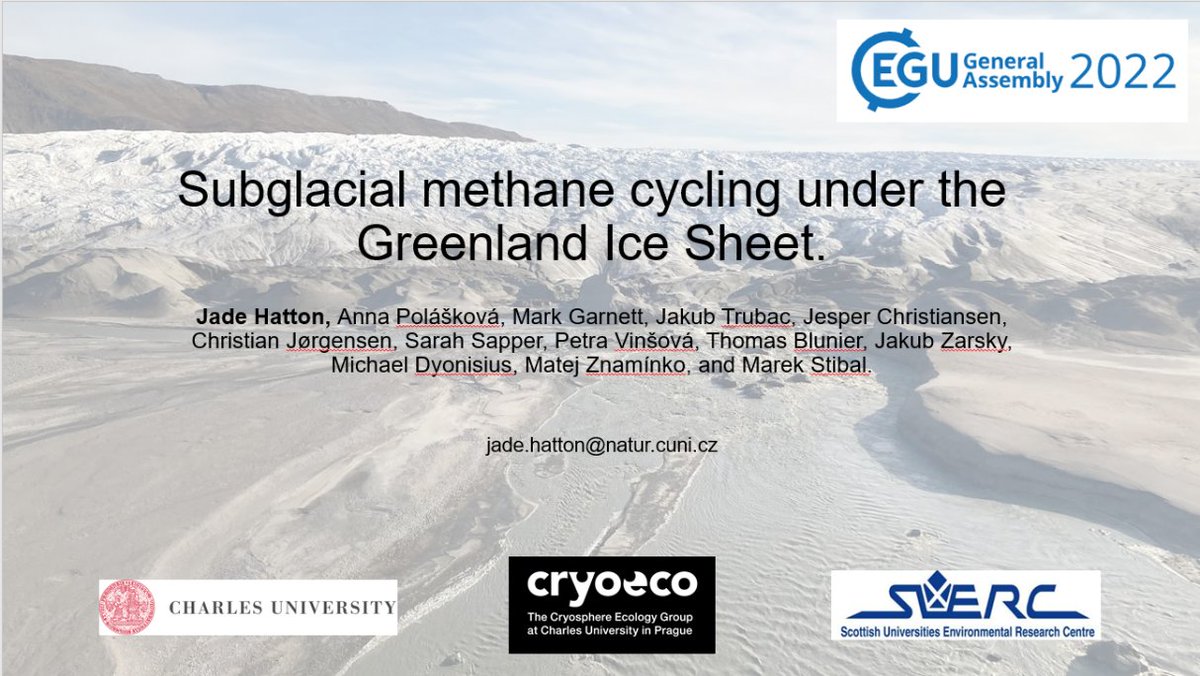 Jade Hatton tweet media