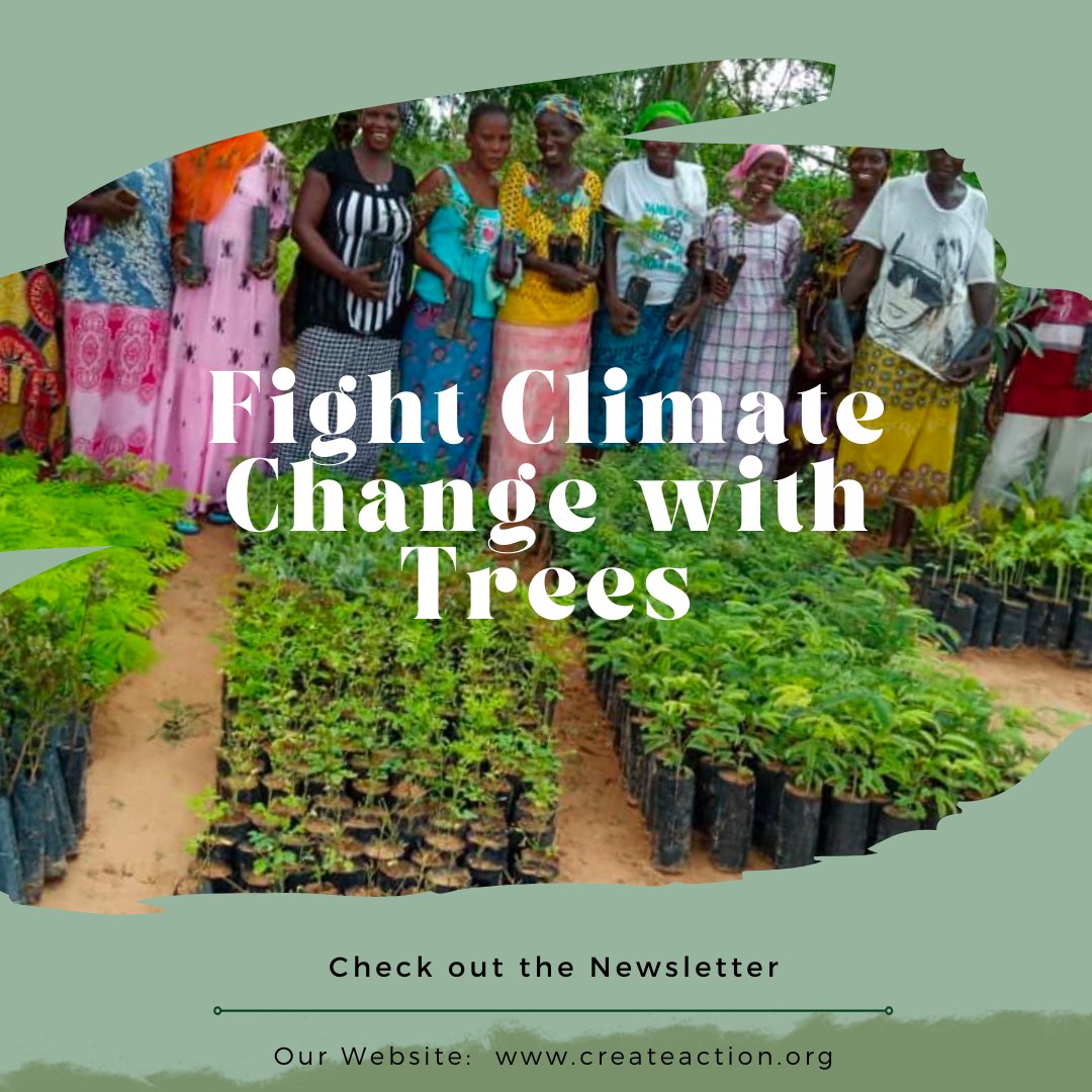 Newsletter Highlight #1. At CREATE!’s partner villages, climate change is personal, impacting every aspect of people’s lives. That’s why we planted over 30,000 trees in 2021, helping to provide shade, food, firewood, and protection from the harshest effects of climate change.