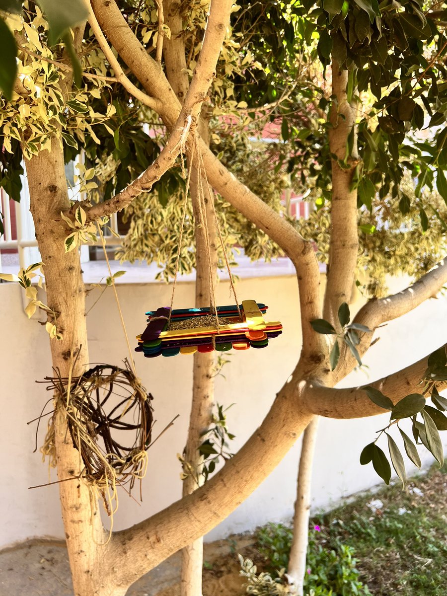 Our bird feeders are up. Our children are curious. Will the birds come? Will they eat all the food? What if there is no more food? What if they don’t like it? Cannot wait to see the #inquiry that will take place. <a href="/AISEgyptMain/">The American International School In Egypt -AIS</a>