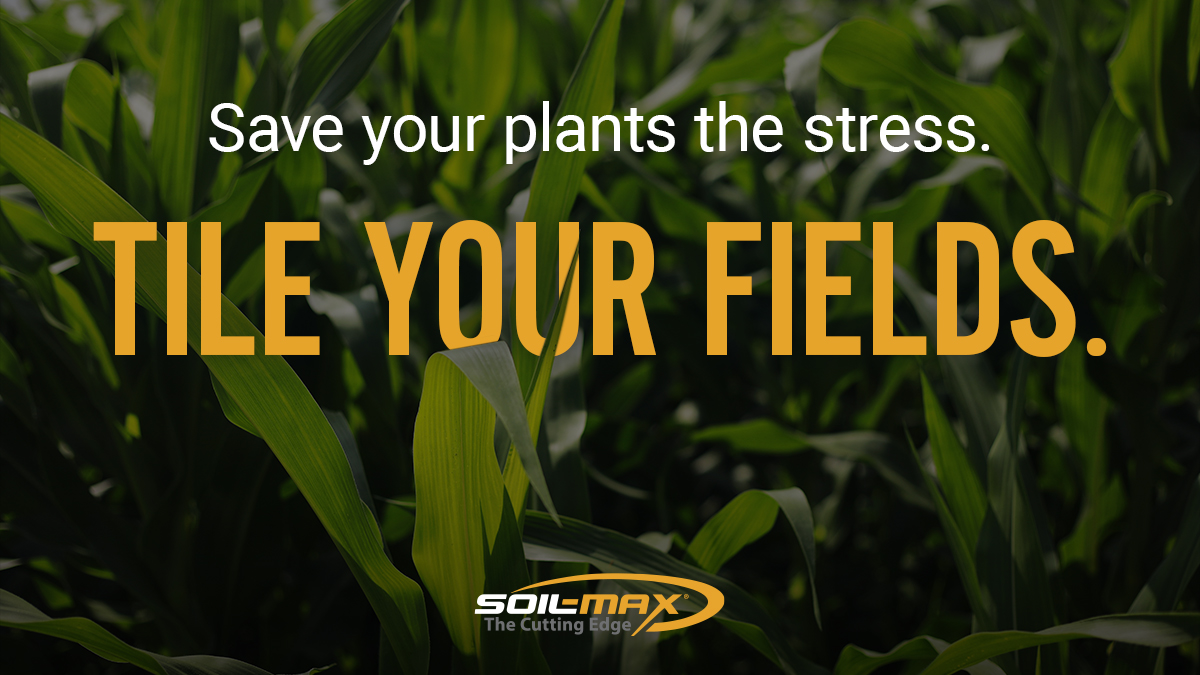 soilmaxdotcom's tweet image. Tile drainage minimizes high water table stress for growing crops. 🤯 🌱

#SoilMax #DirtyWorkPays #TileTip #FieldDrainage #LessStressedCrops