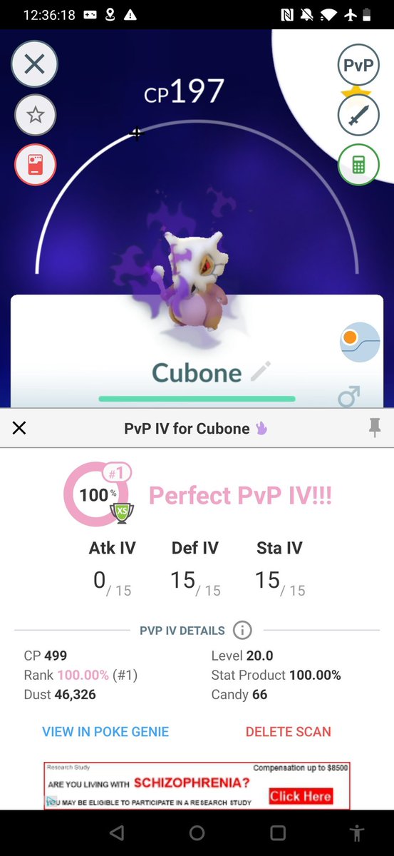 shinypok3hunt3r's tweet photo. keep or evolve?
#shadowCubone pvp#1 💯or
#shadowAlolanMarowak pvp#2 99% https://t.co/zNtWSQcL8H